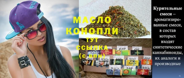 spice Богородицк