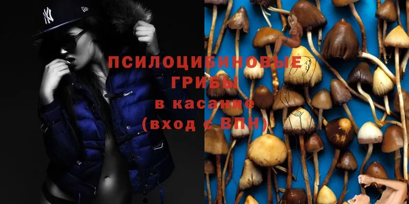 Псилоцибиновые грибы Magic Shrooms Макаров